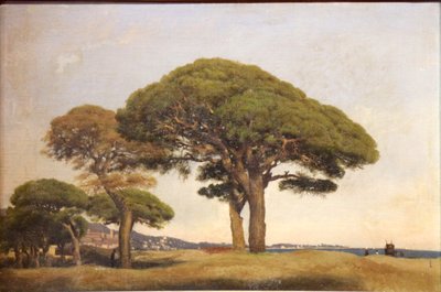 The Pines of La Bocca by Joseph Contini